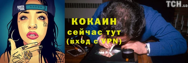 хмурый Михайловск