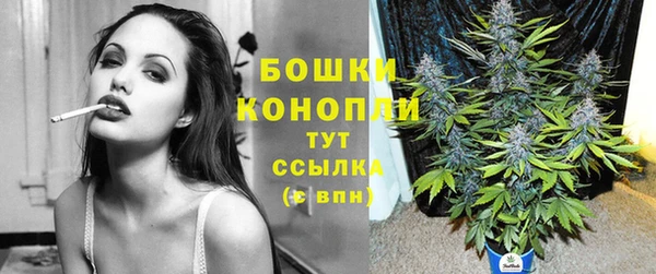 хмурый Михайловск