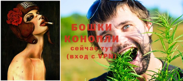 индика Артём