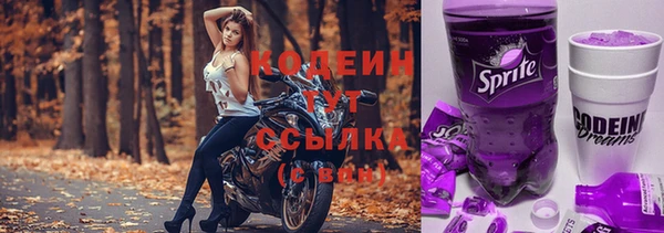 хмурый Михайловск