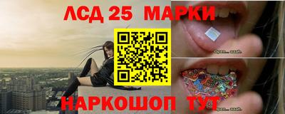 крисы Бийск