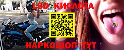 крисы Бийск