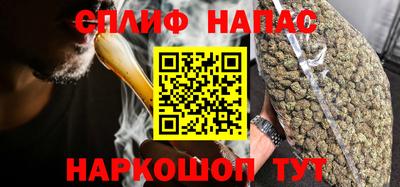 СК Краснодар