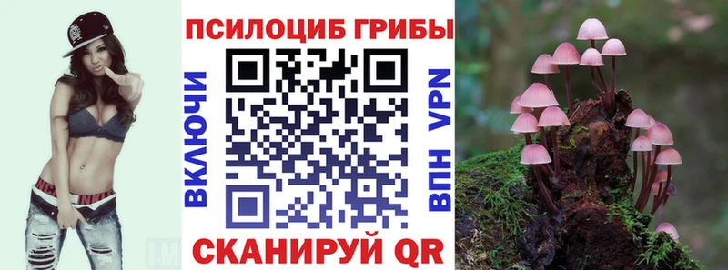 blacksprut tor  Невинномысск  Псилоцибиновые грибы ЛСД  дарнет шоп 