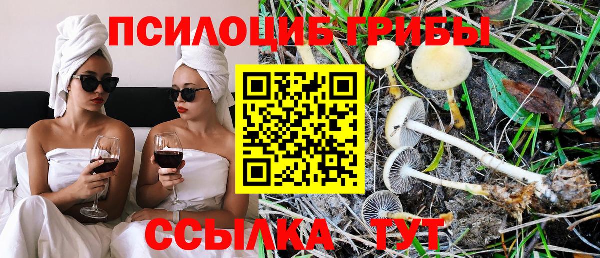 Невинномысск  Псилоцибиновые грибы GOLDEN TEACHER  Вход с VPN 