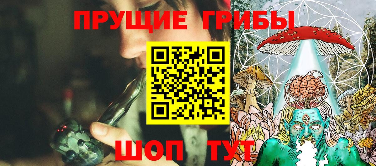 Галлюциногенные грибы Cubensis Невинномысск
